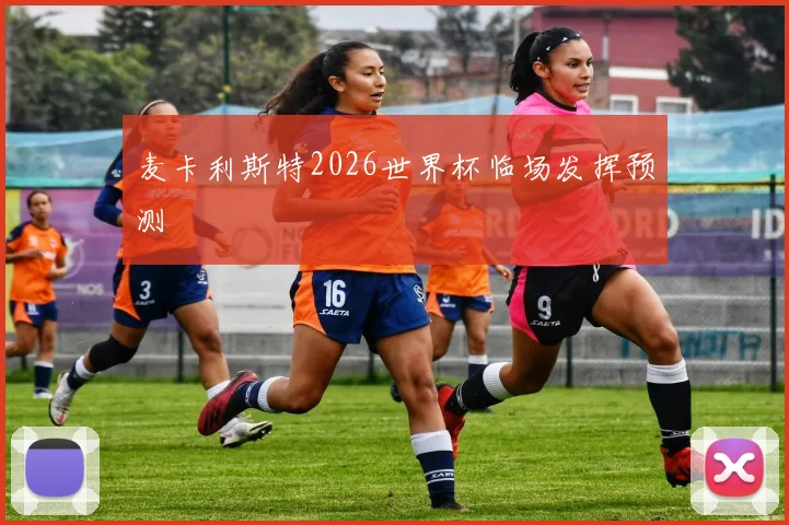 麦卡利斯特2026世界杯临场发挥预测