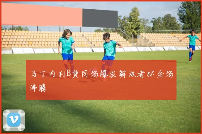 马丁内利B费同场爆发解放者杯全场沸腾
