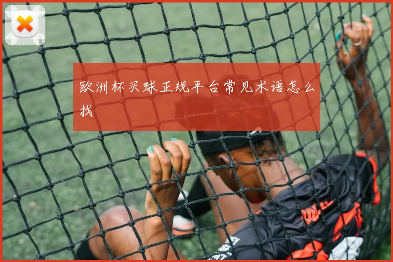 欧洲杯买球正规平台常见术语怎么找
