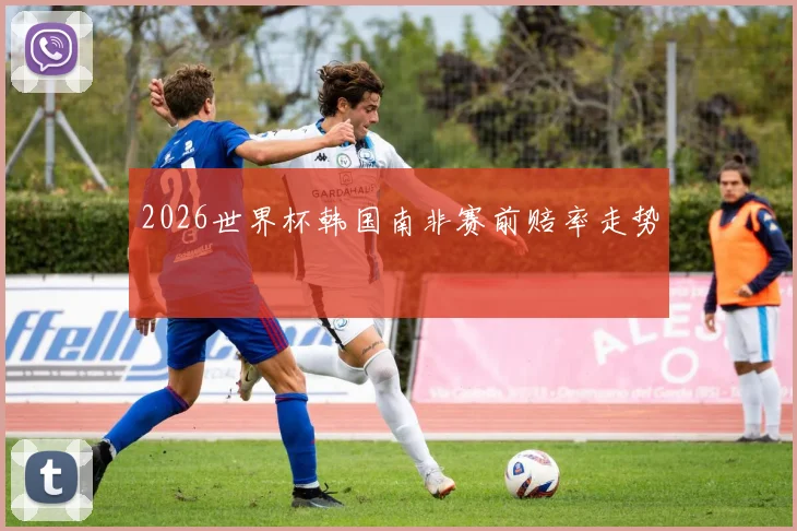 2026世界杯韩国南非赛前赔率走势