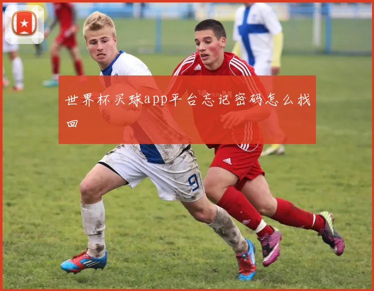 世界杯买球app平台忘记密码怎么找回