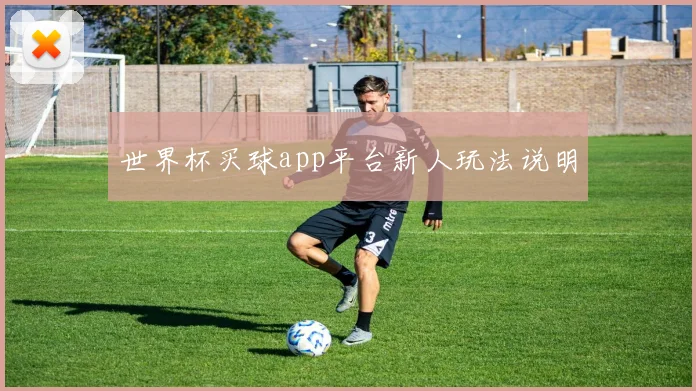 世界杯买球app平台新人玩法说明