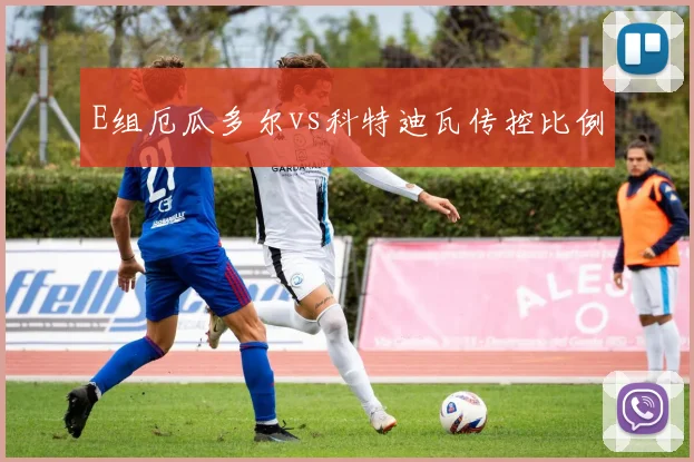 E组厄瓜多尔vs科特迪瓦传控比例