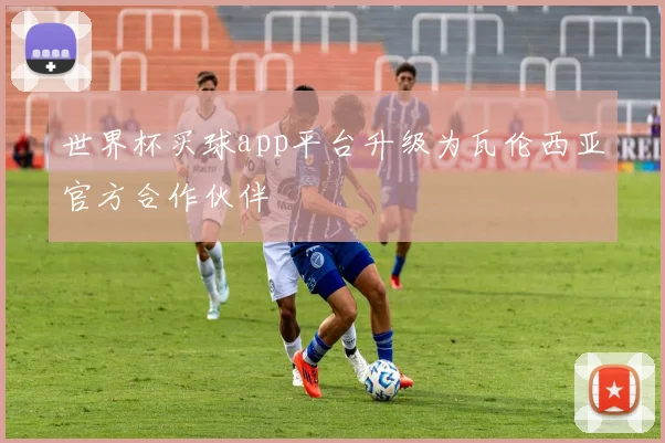 世界杯买球app平台升级为瓦伦西亚官方合作伙伴