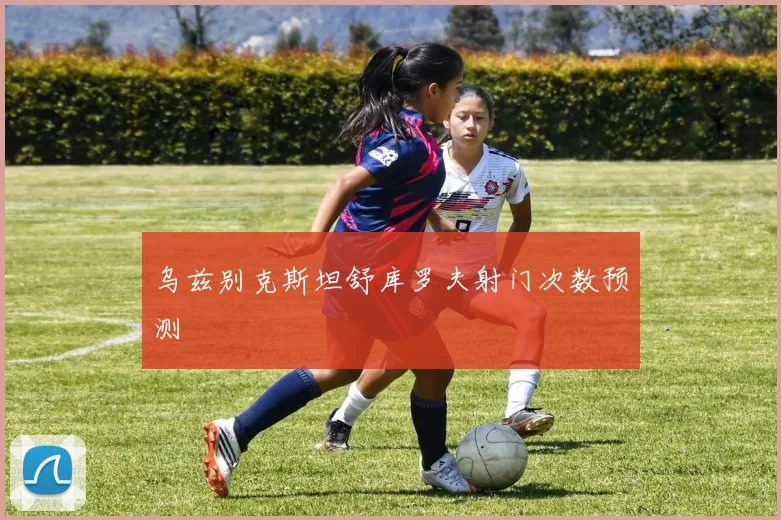 乌兹别克斯坦舒库罗夫射门次数预测