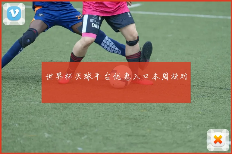 世界杯买球平台优惠入口本周核对