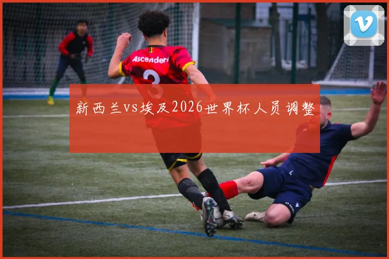 新西兰vs埃及2026世界杯人员调整